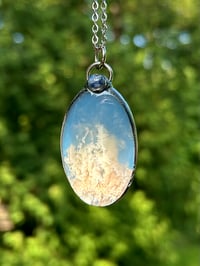 Image 3 of Above the Clouds