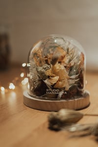 Flower cloche / amber edition