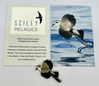 Image 1 of White-faced Storm-petrel - Scilly Pelagics - Enamel Pin Badge