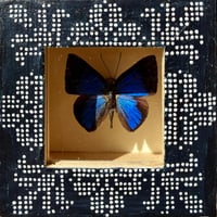 Image 3 of Small Cross Stitch Bug Box