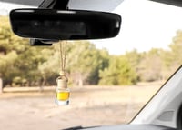 Image 3 of Car Diffuser