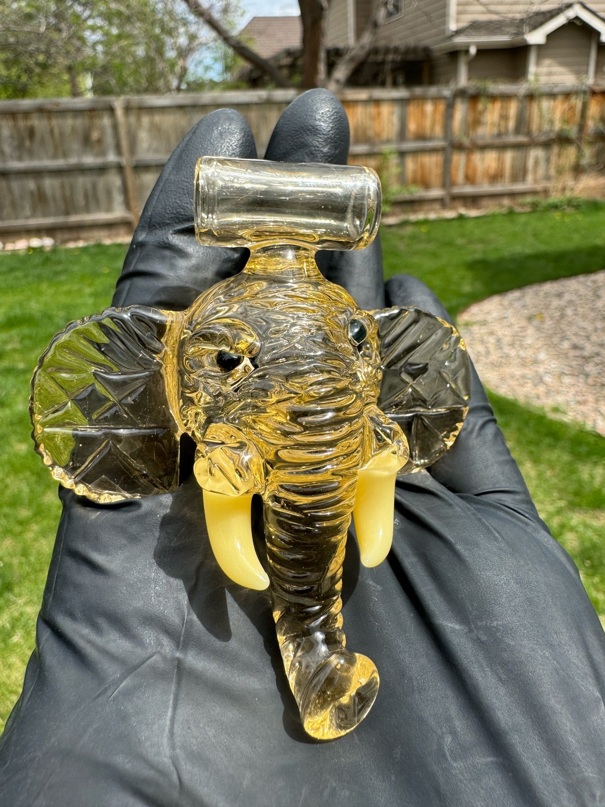 【elephant.m】ガラスナギット Cfl Elephant | Dominos glass outlet