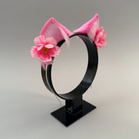 Image 3 of Pink Blossom Kitten