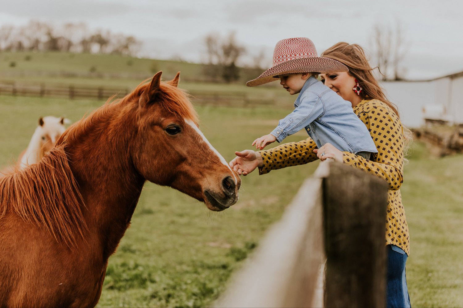 Image of Summer Horse Camp Deposit [NONREFUNDABLE]