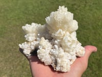 Image 3 of White Calcite Crystal Reef Formation Specimen #1240