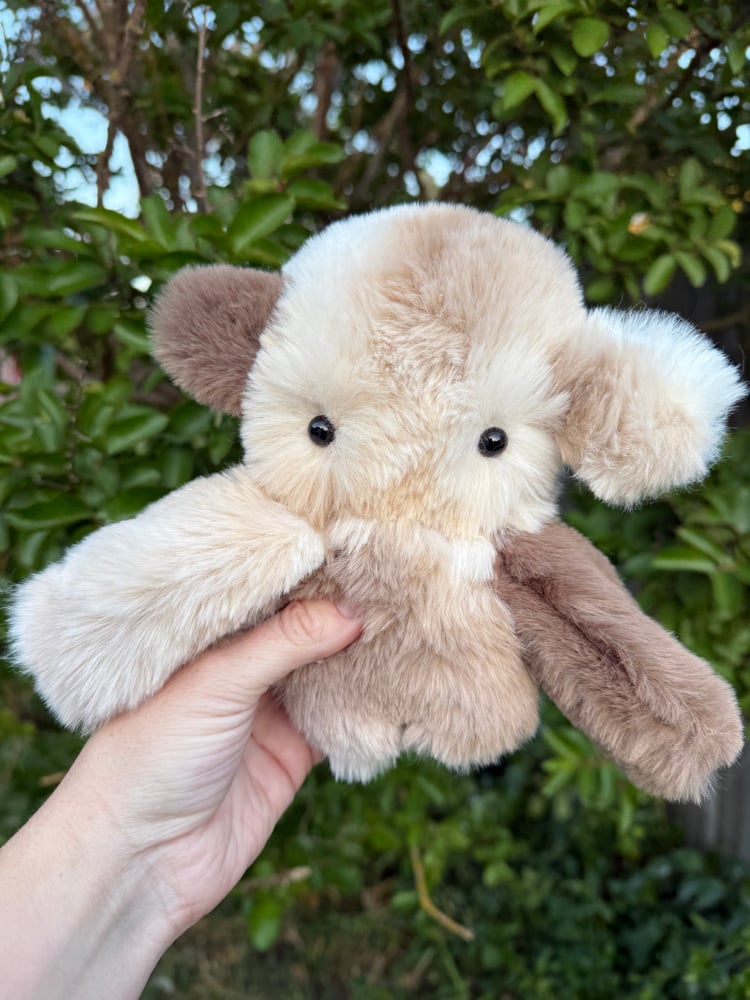 Image of nursery neutral dweller