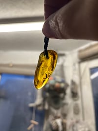 Image 4 of Time Travelling super fly, Amber pendant.