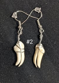 Image 2 of Mini Deer Teeth Earrings