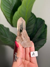 Image 1 of CHOOSE YOUR OWN NATURAL (UNPOLISHED) RUTILE IN QUARTZ POINT -BRAZIL-