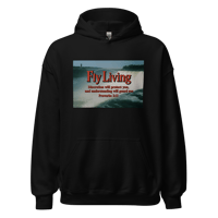 Image 1 of Falls Eye View Hoodie