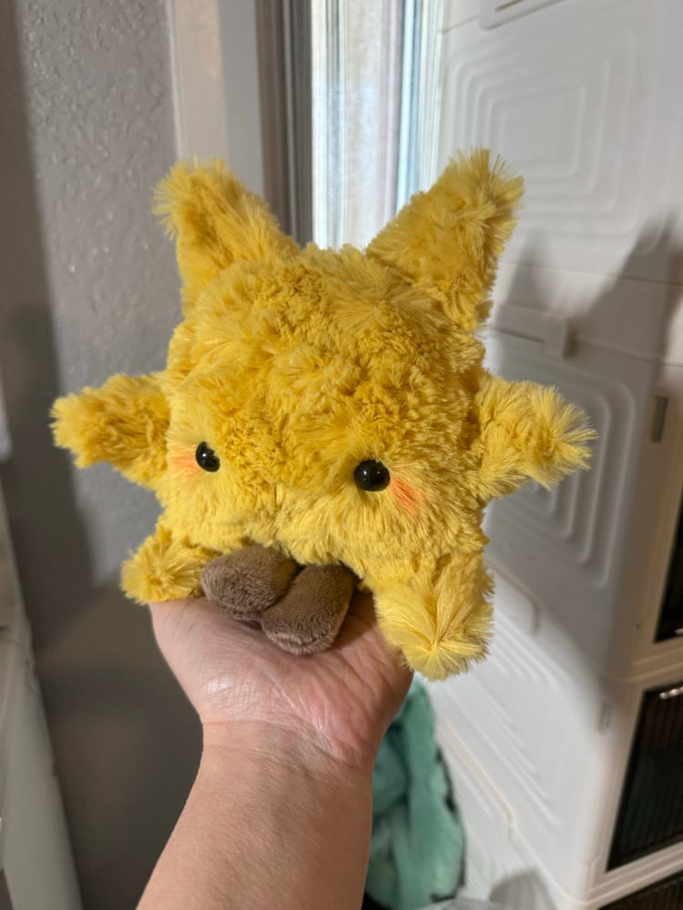 Image of Leggy sun PREORDER