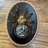 Image 4 of Snake skin spider (b, 4x5 inches)