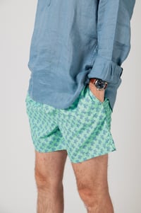 Image 1 of Traje de baño tortugas