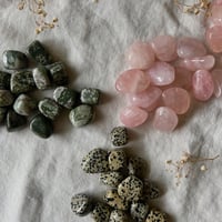 Image 2 of Mindful Seeds Bundle