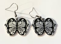 Moth brains