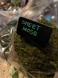 Image 2 of Do it Yourself Kokedama Kit