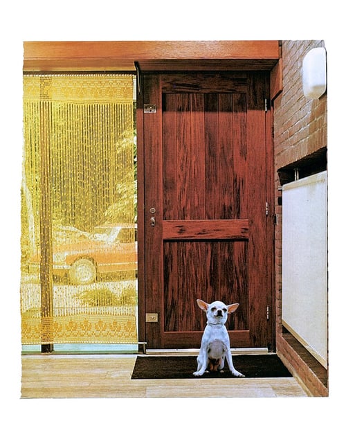 Image of 'HOME’ (Chihuahua) • pillow