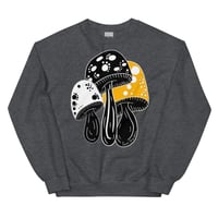 feraldreamer shrooms darkheather