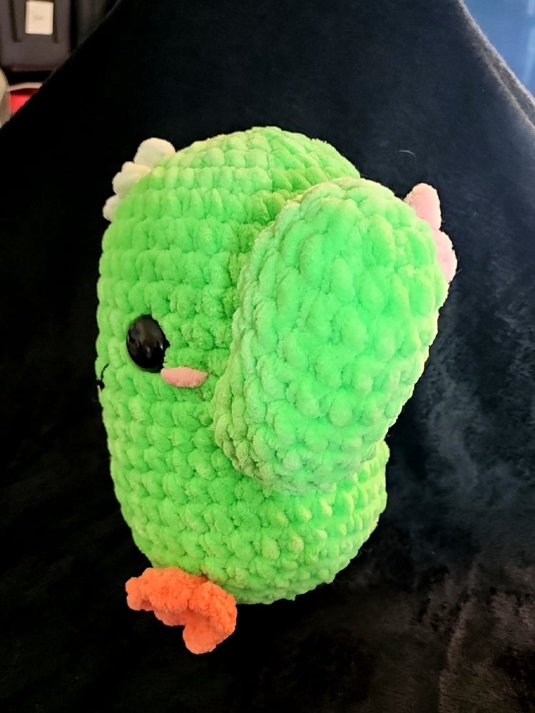 Image of Cactus