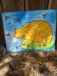 Image 5 of Yellow Frog
