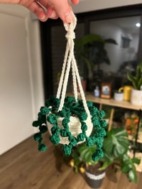 Crochet plant 