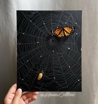 Image 2 of Caught in your Web