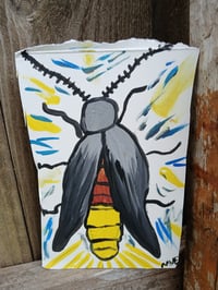 Image 3 of Lightning Bug