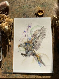 Image 1 of Print Aigle 