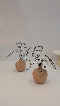 Image 2 of Mini monstera - vase bois