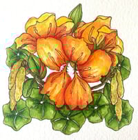 Commission Certificate