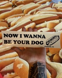 I Wanna Be Your Dog Bumper Sticker