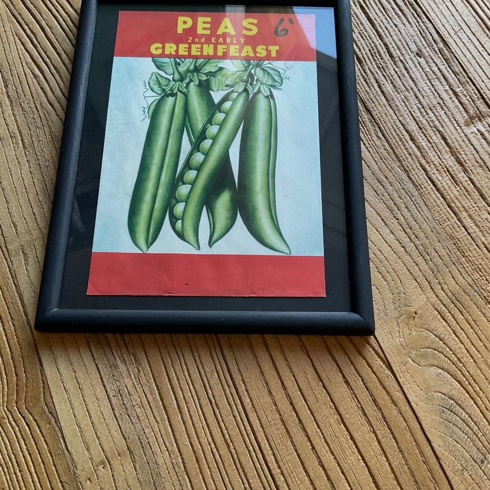 Image of Beans