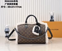 Image 1 of LV BAG