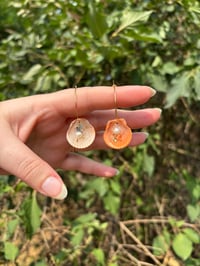 Image 1 of Gold Shell Hoops