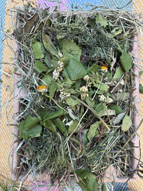 Image of Recycled deep tray filled with mixed dried forage *limited stock!*