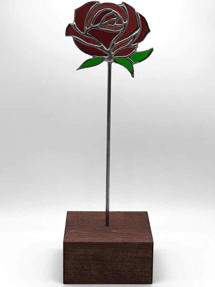 Image of Purple Rose 