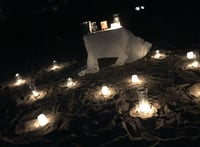 Image 3 of Romantic Picnic For 2