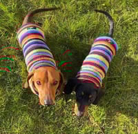 Image 1 of Snazzy Single Stripes