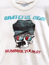 Grateful Dead 1987 Dylan and the Dead Lot T-Shirt - Fits L