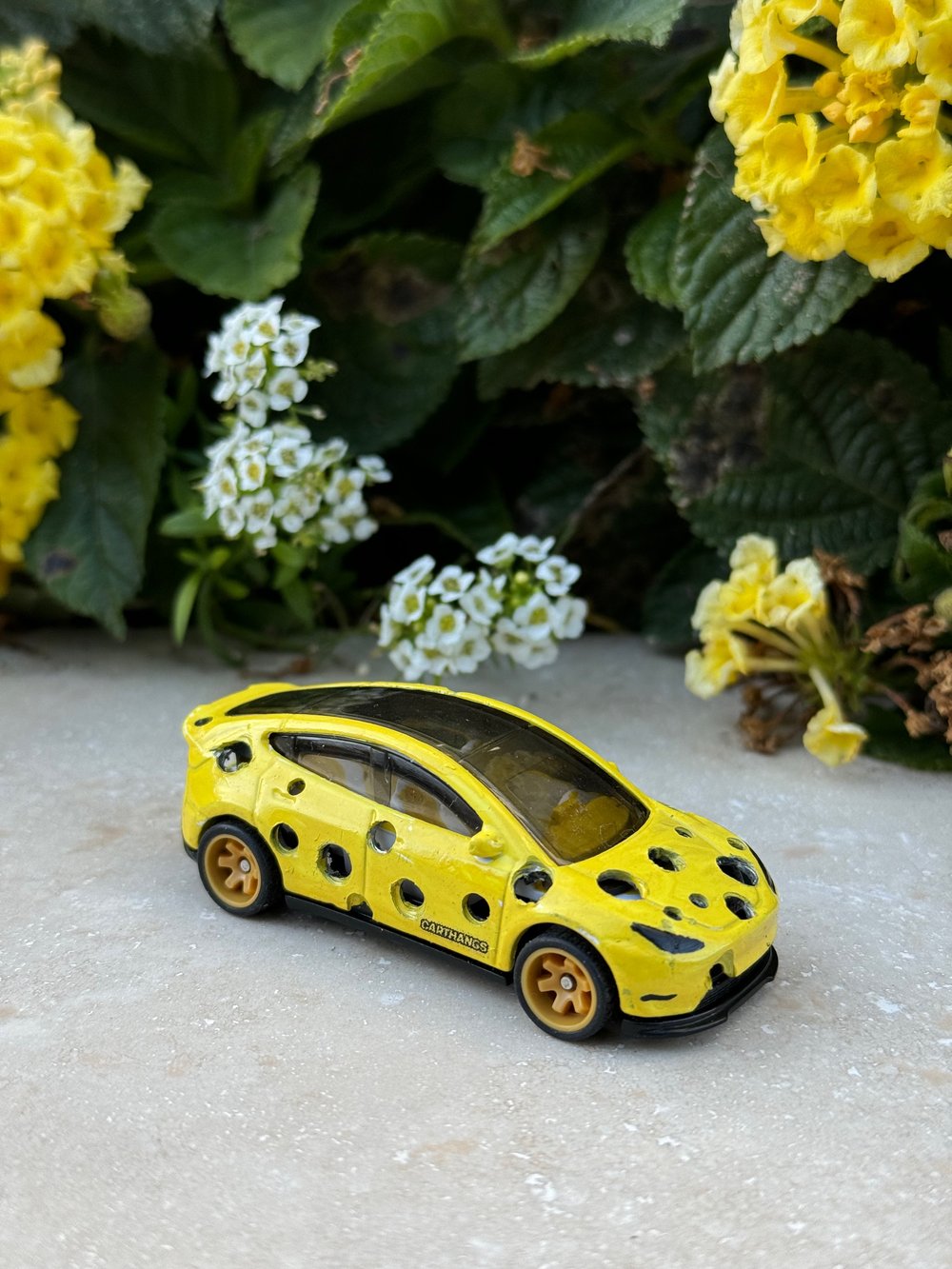 CHEESLA Custom Viral Sensation carthangs