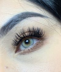 Image 5 of Rolan gray