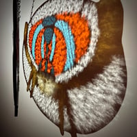 Image 3 of Peacock Spider