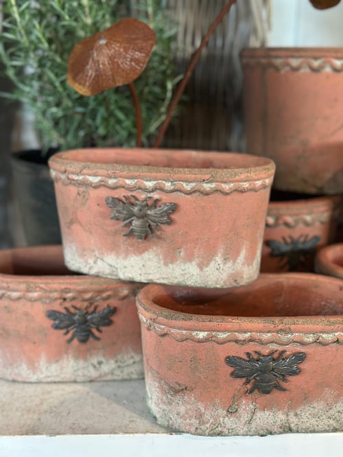 Image of Bee Terracotta Pot Oval