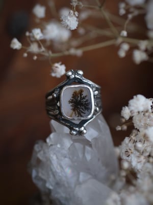 Image of MINYADES : DENDRITIC AGATE I { OOAK }