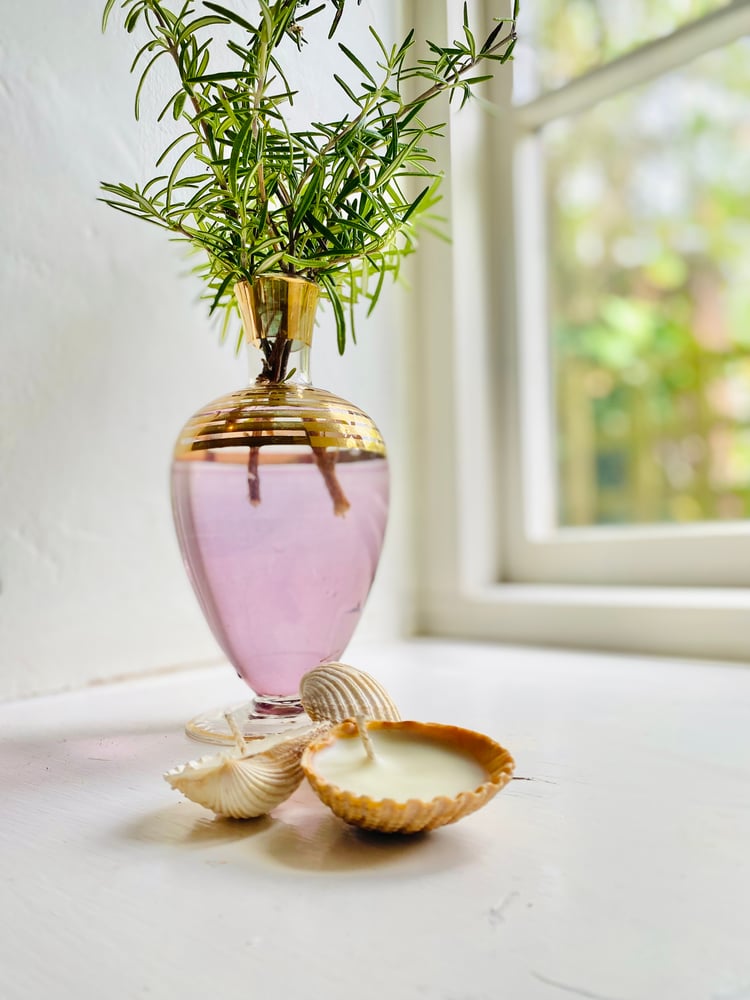 Image of Sea Shell Candle