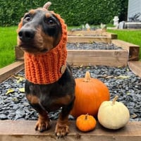 Image 1 of Pumpkin Snood