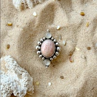 Image 1 of Coral Shores
