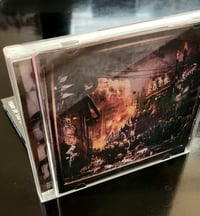 Image 3 of FEAR OF THE KNOWN "The Last Song" 12" and CD