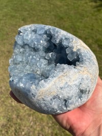 Image 11 of Celestite Cluster #1059