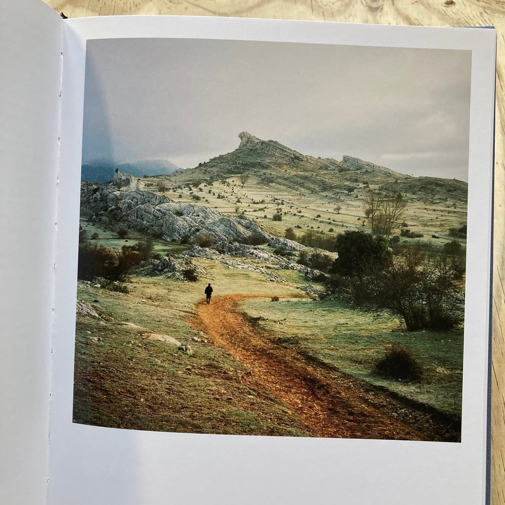 Antoine Bruy - Scrublands